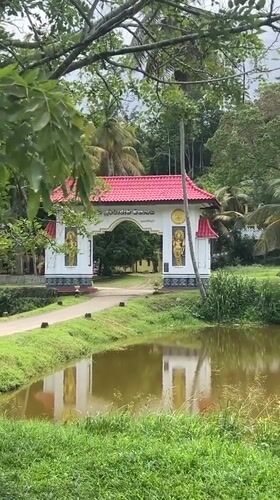 Golden Buddha statue sits in pond amid Sri Lankan village