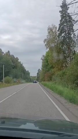 A dark blue car is driving down a paved two-lane road. The road is lined with trees and tall grass. The sky is overcast. There are some power lines on the left side of the road. The car appears to be the only vehicle on the road. The video is shot from a car following behind the blue car.