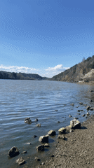 Sunny lake landscape recorded in Pancharevo, Bulgaria