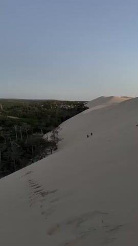 This video shows a vast sand dune with two people walking up it. The dune is light in color and has a rippled texture. To the left of the dune, there is a dense forest with some scattered trees. In the background, there are some buildings visible, suggesting a nearby settlement. The sky is clear and blue, indicating it is daytime. The overall scene depicts a natural landscape with human presence.