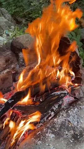 A close-up shot captures a campfire burning. Flames of various shades of orange and yellow dance and flicker, consuming logs of wood. The logs are charred and brittle, with some appearing to be actively breaking apart. Embers glow red beneath the flames. The campfire is situated amongst large, gray rocks. In the background, out of focus, is green foliage. The scene is dimly lit, with the fire providing the primary light source. There are no people visible in the video.