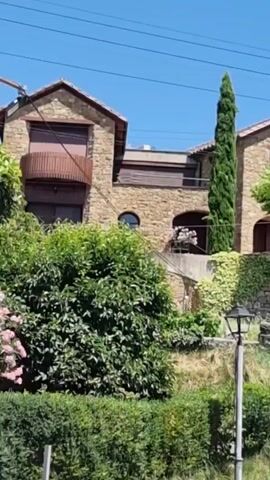 The video shows a stone house nestled in a lush green landscape under a clear blue sky. The house has a rustic charm, with arched doorways and windows, and is partially covered in ivy. A tall cypress tree stands prominently next to the house, and a large, leafy tree branches out over a stone wall in front. The foreground features a well-maintained garden with manicured bushes and a lamppost. The scene appears to be set in a rural or semi-rural location, possibly a private residence or a charming guesthouse, given the landscaping and architecture. The bright sunlight suggests it is daytime, likely late morning or early afternoon, and the weather is fair. No people are visible in the frame. The overall impression is one of tranquility and natural beauty. There is no visible text in the media.