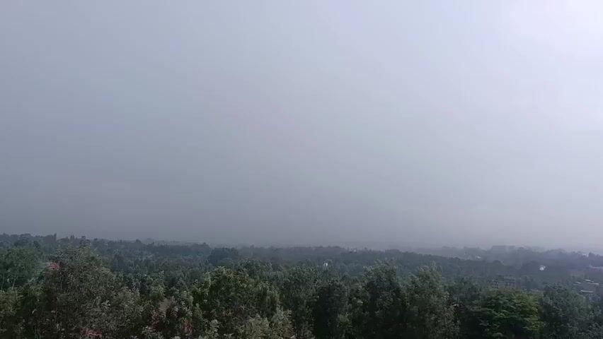 The video depicts a landscape shrouded in a heavy downpour of rain. Dense trees, their leaves lush and green, form a foreground, beyond which extends a view of buildings and a city line obscured by the heavy rain. The sky is a uniform, overcast gray, emphasizing the intensity of the rainfall that obscures details in the distance.