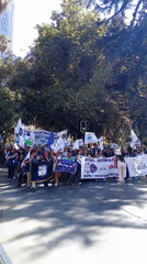 Chilean nurses march through Santiago demanding healthcare reforms