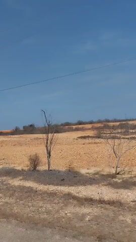 The video shows a desolate landscape under a clear blue sky. The terrain is dry and barren, composed of light brown and reddish-brown soil, scattered rocks, and sparse, withered vegetation. The camera pans slightly to the right, revealing a horizon dotted with low-lying shrubs and a few bare trees. A single power line stretches across the upper part of the frame. The scene is static with no observable human presence or activity.