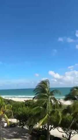 From a high vantage point, a view unfolds featuring a vibrant blue sky dotted with scattered white clouds. In the foreground, several tall, slender palm trees sway in the wind, their lush green fronds fluttering. Beyond the trees, a sandy beach stretches along the shoreline, with gentle waves lapping at the edge of the turquoise sea. The overall atmosphere suggests a warm, sunny, and breezy day at a tropical beach location.