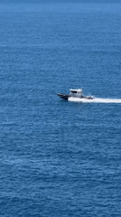 Morning coastal scenes: boat crossing, dog walking in Montenegro