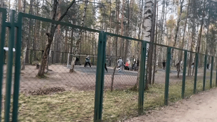 Spring park walk in Saint Petersburg features hedgehog encounters