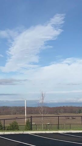 The video shows a landscape with a fence in the foreground and a line of trees in the background under a partly cloudy blue sky. There is a small leafless tree and a white pole near the fence. The sky contains many fluffy white clouds and some areas of light blue sky.
