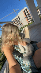 Balcony morning in Budva with a very relaxed poodle