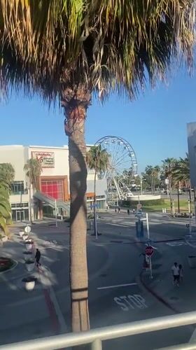 Long Beach, United States of America