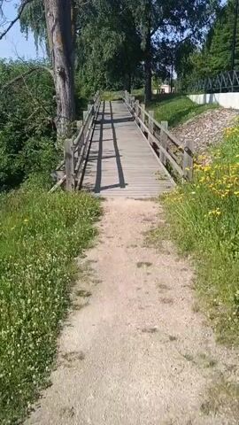 A first-person perspective video shows a person walking on a dirt path towards a wooden bridge. The bridge is made of light-colored planks and has wooden railings on both sides. The bridge is elevated and spans over a small incline. Trees and greenery are visible on either side of the path and bridge. The sun is shining, casting shadows from the bridge railings onto the walkway. The video is short and shows the person approaching and walking onto the bridge.
