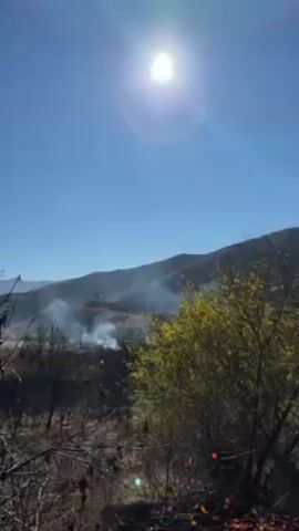The video shows a sunny landscape with hills in the background under a clear blue sky. In the middle ground, smoke is rising from what appears to be a valley or a town. In the foreground, there is some vegetation, including a bush with green and yellow leaves.
