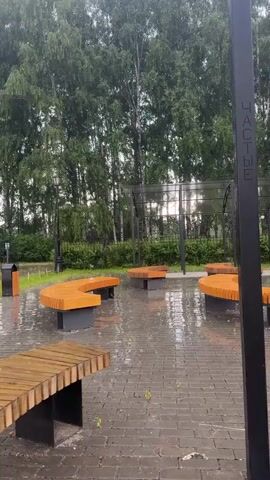 The video shows a park area with several wooden benches and a paved ground that is wet from rain. Tall green trees are visible in the background. A black lamppost with Cyrillic text is in the foreground. The scene is empty of people.