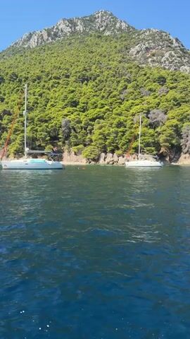 A video shows two sailboats moored in clear blue water near a rocky, tree-covered coastline under a bright blue sky. The closer sailboat is on the left, and the second sailboat is to its right. The camera appears to be on another boat, moving away from the moored sailboats, creating a wake in the water. The dense green trees cover the slope of a large hill or mountain that forms the backdrop. The sunlight is strong, casting clear shadows.