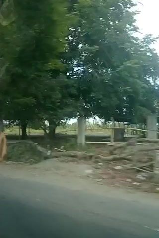 The video shows a side view from a vehicle moving along a road. The scenery includes trees, a covered structure that appears to be a small shelter or stall, and a red and white draped awning supported by poles. There are also some colorful objects on the ground that look like small structures or play equipment, possibly abandoned. Vegetation lines the side of the road, and power lines are visible overhead. The sky is cloudy. The overall impression is of a rural or semi-rural roadside environment.