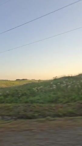 The video shows a view from a moving vehicle, likely a car, looking out over a rural landscape. The scene is dominated by rolling green hills, dotted with trees and some vegetation. The sky is a clear blue, with a few thin horizontal power lines visible across it. A metal guardrail runs along the bottom of the frame, indicating the perspective of someone traveling on a road. The sun appears to be low in the sky, casting a warm, soft light on the landscape, suggesting it might be early morning or late afternoon. The overall impression is one of a peaceful, open countryside.