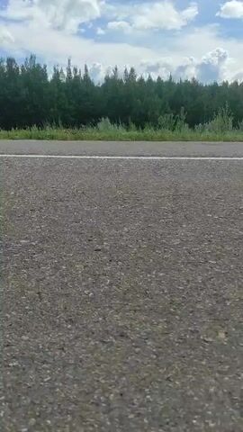 The video shows a paved road with a white line down the center. On the left side of the road, there is a grassy shoulder followed by a dense line of trees. The sky above is partly cloudy with blue sky visible. The perspective suggests the video is being filmed from ground level, possibly from a moving vehicle or from a person walking or running. The scene appears to be outdoors in a rural or semi-rural setting. There are no people or other objects clearly visible in the frame other than the road, grass, trees, and sky. The footage is shaky, indicating movement.