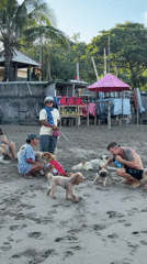 Beachgoers interact with dogs on Kuta Beach, Indonesia