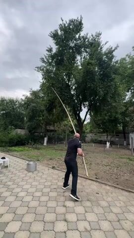 A bald man, wearing a black t-shirt and black pants with white sneakers, is standing on a paved patio in front of a large, leafy tree. He is holding a long, thin pole, possibly made of bamboo or wood, with both hands. The pole is angled upwards, extending towards the branches of the tree. The man appears to be swinging the pole, possibly to dislodge fruit or branches from the tree. 

The setting is outdoors, with a cloudy sky overhead. The patio is made of light-colored, interlocking pavers. To the left of the man, there is a large, silver pot. In the background, there are other trees, some vegetation, and a fence. A white chair is visible on the far left. The man's posture suggests he is exerting effort in his action. The overall atmosphere is that of a casual, possibly domestic, outdoor activity. The location is identified as Zugdidi, Georgia. There is no visible text in the media.