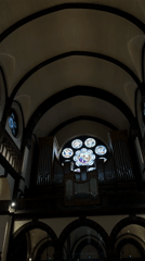 Church organ and stained glass documented in Strasbourg