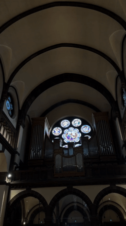Church organ and stained glass documented in Strasbourg