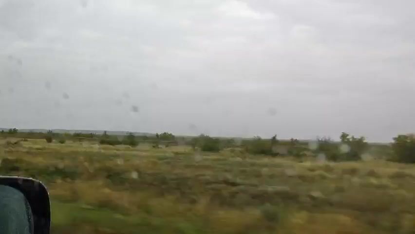 The video shows a landscape through a window with water droplets. The view consists of a field of grass and scattered trees. The sky is overcast and gray. The left side of the frame shows a portion of a dark-colored vehicle's side mirror. The camera appears to be moving, suggesting a view from a moving vehicle. The overall impression is a muted, possibly rainy day in a rural or undeveloped area.