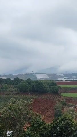 The video shows a landscape view under a cloudy sky. In the foreground, there are trees and red soil, indicating a hilly or mountainous area. Behind the trees, there is a cultivated area with green fields. In the distance, several greenhouses or structures covered with white plastic or fabric stretch across the landscape, partially obscured by mist or low-hanging clouds. The general ambiance is subdued, due to the overcast weather.