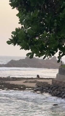 The video shows a person on a rocky beach with waves crashing in the background. The person appears to be wearing dark clothing and is bending over as if picking something up or looking at something on the ground. A large tree with green leaves hangs over the scene from the top left corner. The water is choppy and the sky is overcast.