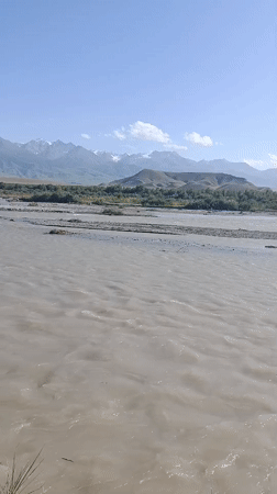 Rivers and fish in the clear waters of Ак Жар, Kyrgyzstan