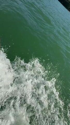 This video shows a view from a boat moving through green water under a clear blue sky. The boat is moving from left to right, creating a wake. The water is choppy, and the sunlight is reflecting off the surface. In the distance, there are tree-covered hills and mountains. The camera is positioned low, close to the water, giving a sense of speed and immersion. The video is short, lasting only a few seconds, and is likely a snippet from a longer recording of a boat trip or water activity.