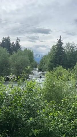 A static outdoor medium shot shows a river flowing through a lush green valley with snow-capped mountains in the distance under a cloudy sky. The camera looks down onto a river that fills the midground and foreground of the frame. The river has several small, man-made waterfalls, or weirs, cascading into the next section of the river. The water is a pale blue-green. On either side of the river are tall, dark green trees and bushes that almost completely obscure the river banks. In the background, the river continues to flow towards the distant mountains. Above the distant river, several snowy peaks are visible in the background, contrasting with the dark green forest. Power lines cross the top of the frame. The clouds above are a mix of white and gray. The overall impression is one of natural beauty and tranquility, with the river serving as the central element of the scene.