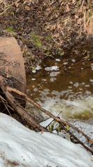 Mother and child explore snowy woods near Chaikovsky, Russia