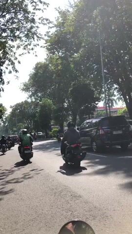 The video captures a sunny day on a paved road, likely in an urban environment, given the presence of vehicles and trees lining the street. Several motorcycles are visible, with riders wearing helmets. One rider in the foreground is on a black scooter, facing away from the camera. Further down the road, another motorcycle with a green jacket and helmet is seen. A black SUV is parked on the right side of the road. Tall trees with lush green foliage cast shadows on the road, indicating a bright, sunny day. The sky is bright, with sunlight filtering through the trees. The overall impression is one of everyday traffic on a clear, warm day.