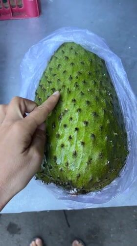 Person handles spiky soursop fruit in Ubud, Indonesia