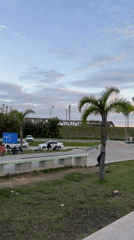 Evening skateboarding session draws crowds to Avellaneda park