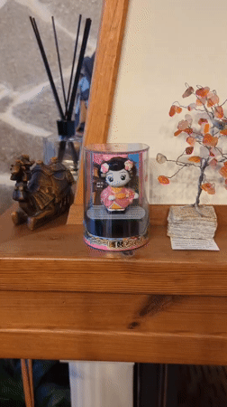 Interior scenes documented in Septemvri home during evening hours