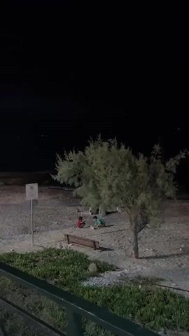 The video is taken at night, with a dark sky above. In the foreground, there is a railing with greenery below. In the mid-ground, there is a sandy area with a tree and a bench. Under the tree, two people are sitting on the ground, one wearing a red shirt and the other wearing a blue shirt. They appear to be interacting with something on the ground. There is also a signpost to the left of the tree. In the background, there is a dark expanse that could be the sea or a large open area. The lighting is dim, with some light illuminating the area under the tree.