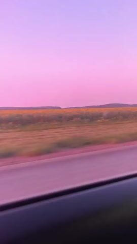 A car travels alongside a field of sunflowers under a pink sky.