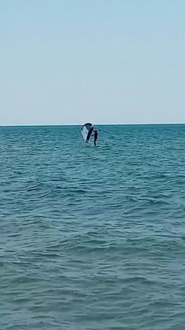 This media file captures a person engaged in wing foiling on a calm, clear day. The subject, dressed in dark clothing, is positioned in the middle of the ocean, which appears vast and undisturbed with a gentle ripple on its surface. They are actively controlling a large, black and white wing, holding it with outstretched arms. The wing is angled upwards, catching the wind, and the person is standing on what appears to be a board, though it is mostly obscured by the water's surface.

The setting is a wide expanse of blue ocean under a pale, cloudless sky, suggesting either early morning or late afternoon. The horizon line is sharp and distinct, separating the sea from the sky. There are no visible landmasses or other vessels, emphasizing the isolation and focus on the activity. The overall mood is serene and peaceful, with the activity of wing foiling appearing effortless and graceful against the backdrop of the tranquil sea. No text is visible in the media file.