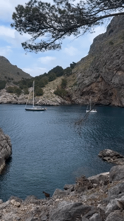 Scenic Mediterranean bay views captured in Escorca, Spain