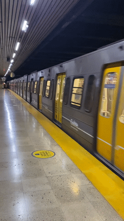 Buenos Aires subway train arrives at underground station