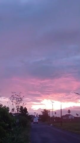 This is a vertical video of a rural road at sunset. The sky is filled with clouds in shades of purple and pink. On the left side of the road, there is dense green foliage and a few trees. On the right side of the road, there are fields, houses, and palm trees. There are streetlights along the road, and power lines. A white vehicle is driving away from the camera on the road. The overall mood is peaceful and serene.