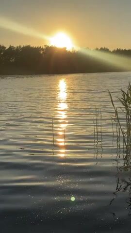 The video displays a tranquil lake scene at sunset. The sun, a bright orb, is partially obscured by a line of trees in the background, creating a silhouette effect. Sunlight reflects off the water’s surface, forming a shimmering vertical line. Reeds grow along the water's edge on the right side of the frame. The water has small ripples and there are a few small particles visible in the foreground. The overall tone of the scene is peaceful and serene.