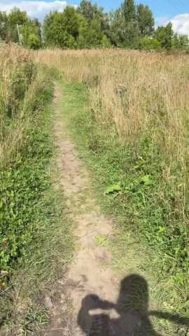 A dirt path winds through a field of tall grass and reeds. In the distance, a line of trees forms the horizon under a bright blue sky dotted with white clouds. A lone man stands on the right side of the path near the water's edge, wearing blue swim trunks. He is facing away from the camera. The scene appears to be a natural landscape, possibly near a lake or pond, on a sunny day.