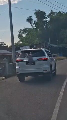A white SUV, decorated with white and purple ribbons and flowers, drives down a paved road. The vehicle appears to be a wedding car, as suggested by the decorations. The sun is shining, and the sky is cloudy. Trees and buildings are visible in the background. The camera is positioned behind the vehicle, capturing its rear and side profile as it moves away.