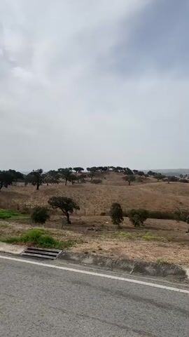 The video shows a landscape with rolling hills covered in dry grass and scattered trees, some of which appear to be olive trees planted in rows. The sky is cloudy with patches of blue. A paved road is visible in the foreground. The camera pans slowly to the right, revealing more of the agricultural landscape. There are no people or animals visible in the video. The overall impression is of a rural, somewhat arid environment under an overcast sky.