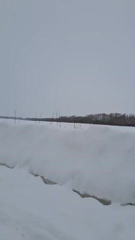 The video shows a winter landscape with a snow-covered field stretching towards a line of trees in the distance. The sky is overcast and grey. Scattered dry stalks of grass or weeds poke up through the snow. The immediate foreground has a snow drift with distinct layers and edges. The video appears to be filmed from a moving vehicle.