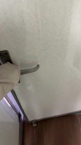 The video opens with a close-up of a person's arm in a light-colored sleeve reaching for a metallic handle on a white, textured door. The door opens to reveal a small, gray metallic vestibule. Ahead is another gray door with a small, square window, and a red flashlight hanging from a strap on the right side. A voice in the background states, "The car is the last one." The scene then transitions to a view through the square window of the moving train, looking backward at the tracks. The train tracks curve gently into the distance, flanked by bare trees and some green grass, suggesting an autumn or winter setting. The sky is overcast and bright. Overhead, power lines run parallel to the tracks. The view through the window is from the rear of the train, showcasing the receding railway line and the surrounding natural landscape.