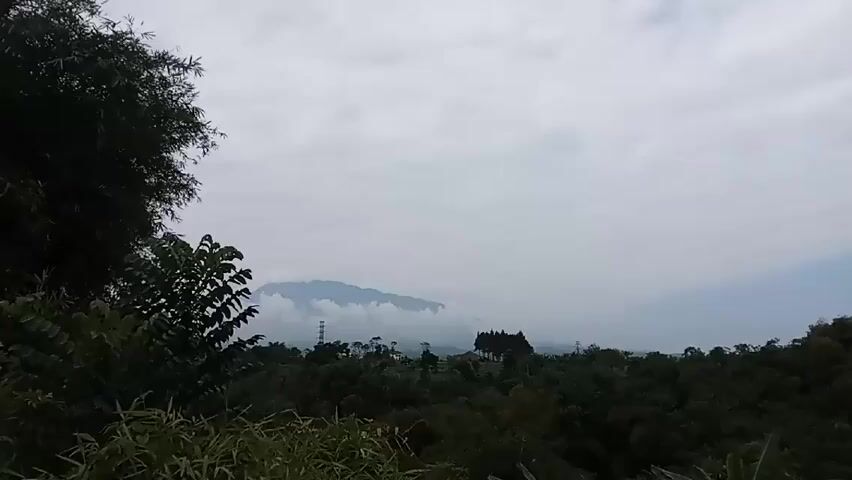 The video presents a landscape view on an overcast day. In the distance, a mountain partially obscured by clouds can be seen. A dense expanse of green trees and vegetation fills the middle ground. Power lines are visible among the trees. 

The camera pans slightly to the right, revealing a large tree on the right side of the frame and the mountain becomes fully visible. The mountain emits a plume of smoke or steam, suggesting volcanic activity. In the foreground, rooftops of buildings come into view.